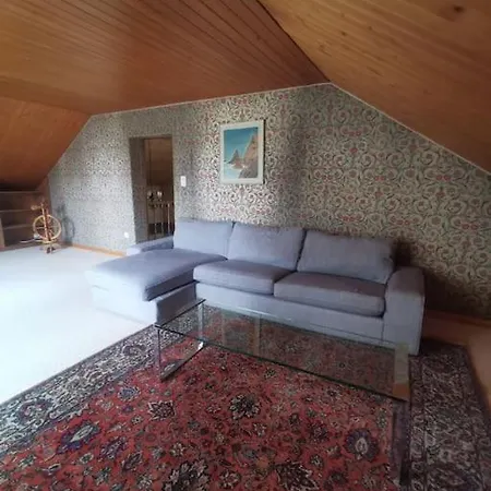 Neb-thun Haus In Fuer 8 Pax Apartment Thun
